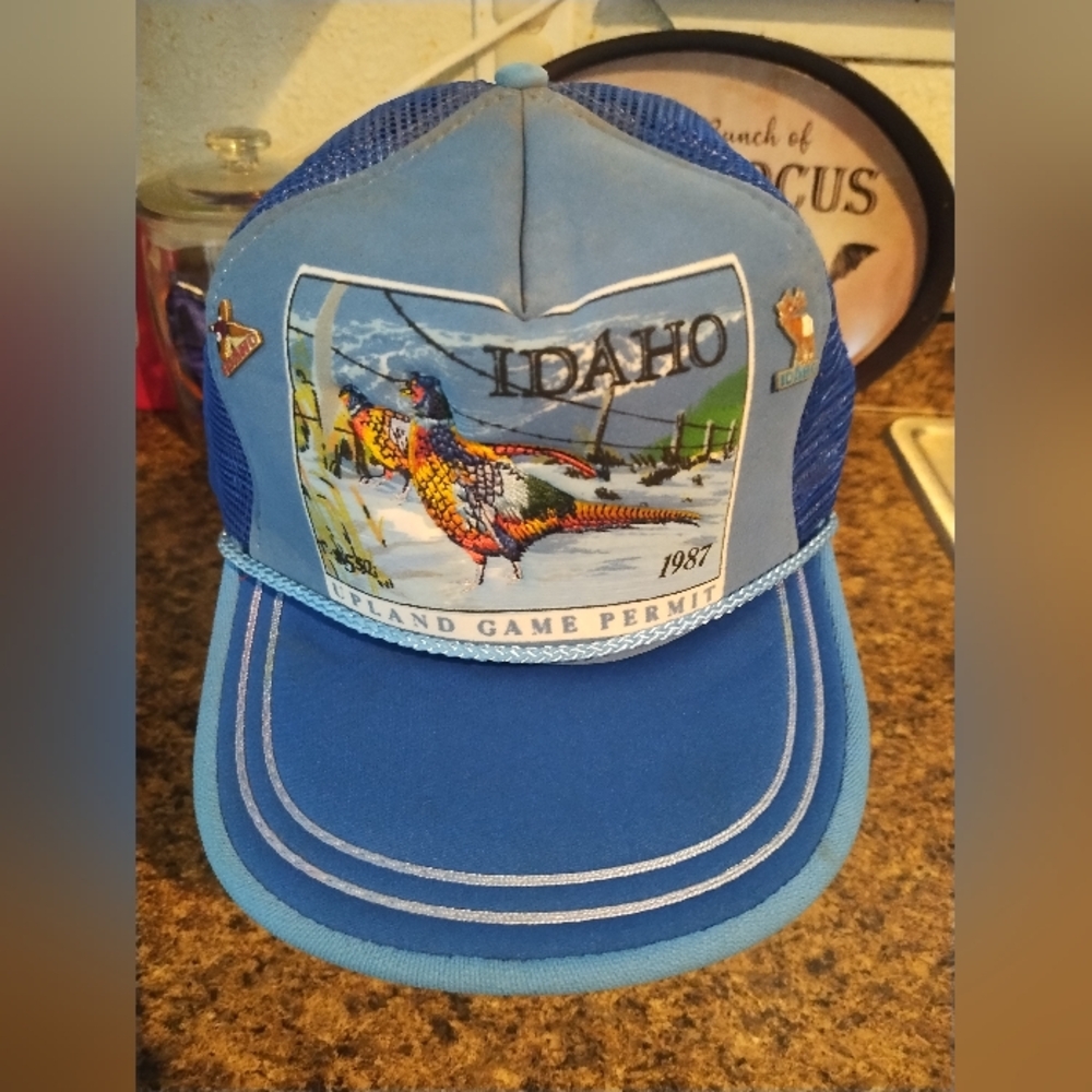 Vintage Idaho Gaming Permit Trucker Hat